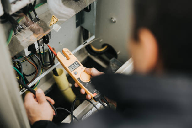 Best Licensed Electrician  in Palm River Clair Mel, FL