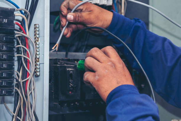Best Best Electricians Near Me  in Palm River Clair Mel, FL