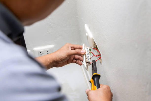 Best Generator Installation Services  in Palm River Clair Mel, FL